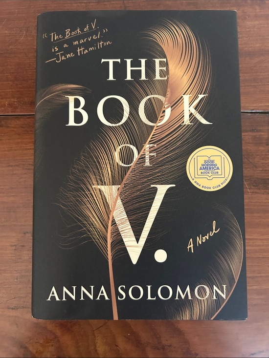 Other - The Book of V. by Anna Solomon